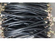 防爆撓性連接管