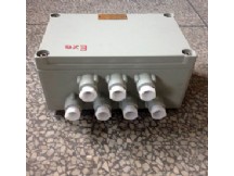 BJX51系列防爆接線箱（增安型）