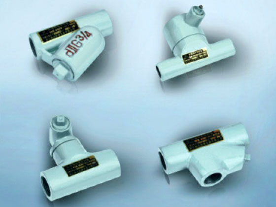 BGM系列防爆隔離隔離密封盒（d-Ⅱ)